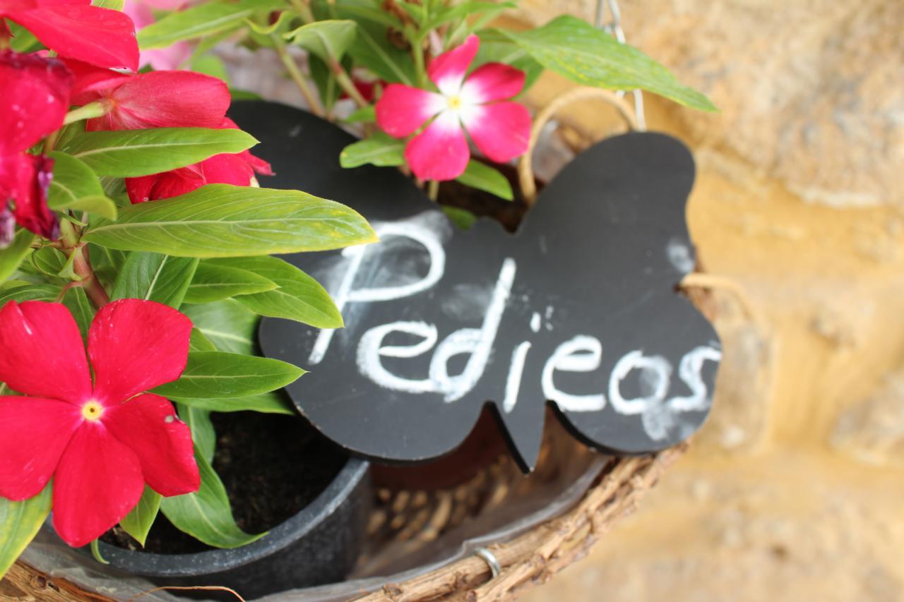 Pedieos Guest House Nikosia Bagian luar foto